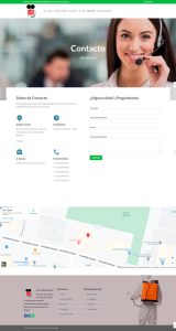 diseño web venezuela servicios truly 03