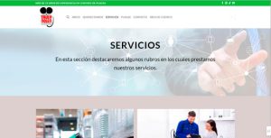 diseño web venezuela servicios truly 04