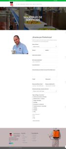 diseño web venezuela servicios truly 05