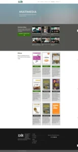 diseño web venezuela servicios cmr multim