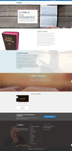 diseño web venezuela servicios edf 05