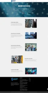 diseño web venezuela servicios omi ser